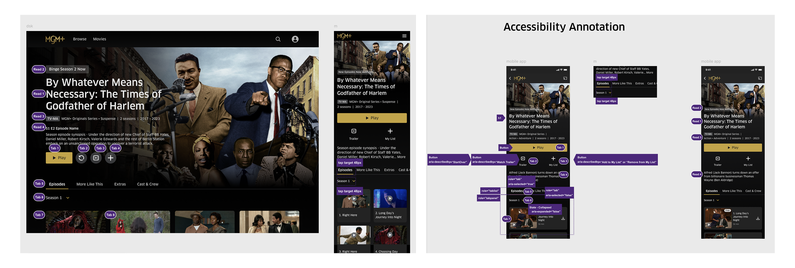 Accessibility annotations in design